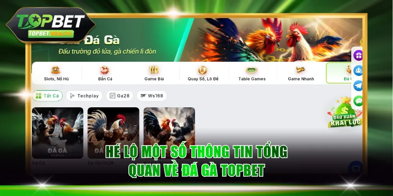 Hé lộ một số thông tin tổng quan về đá gà TOPBET