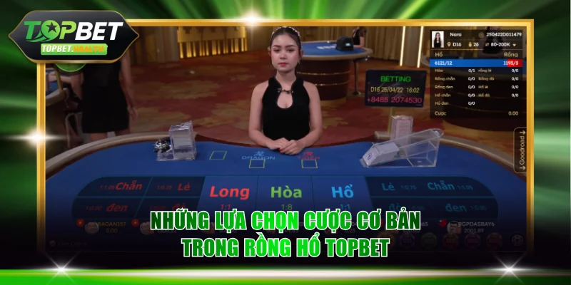 Những lựa chọn cược cơ bản trong rồng hổ TOPBET